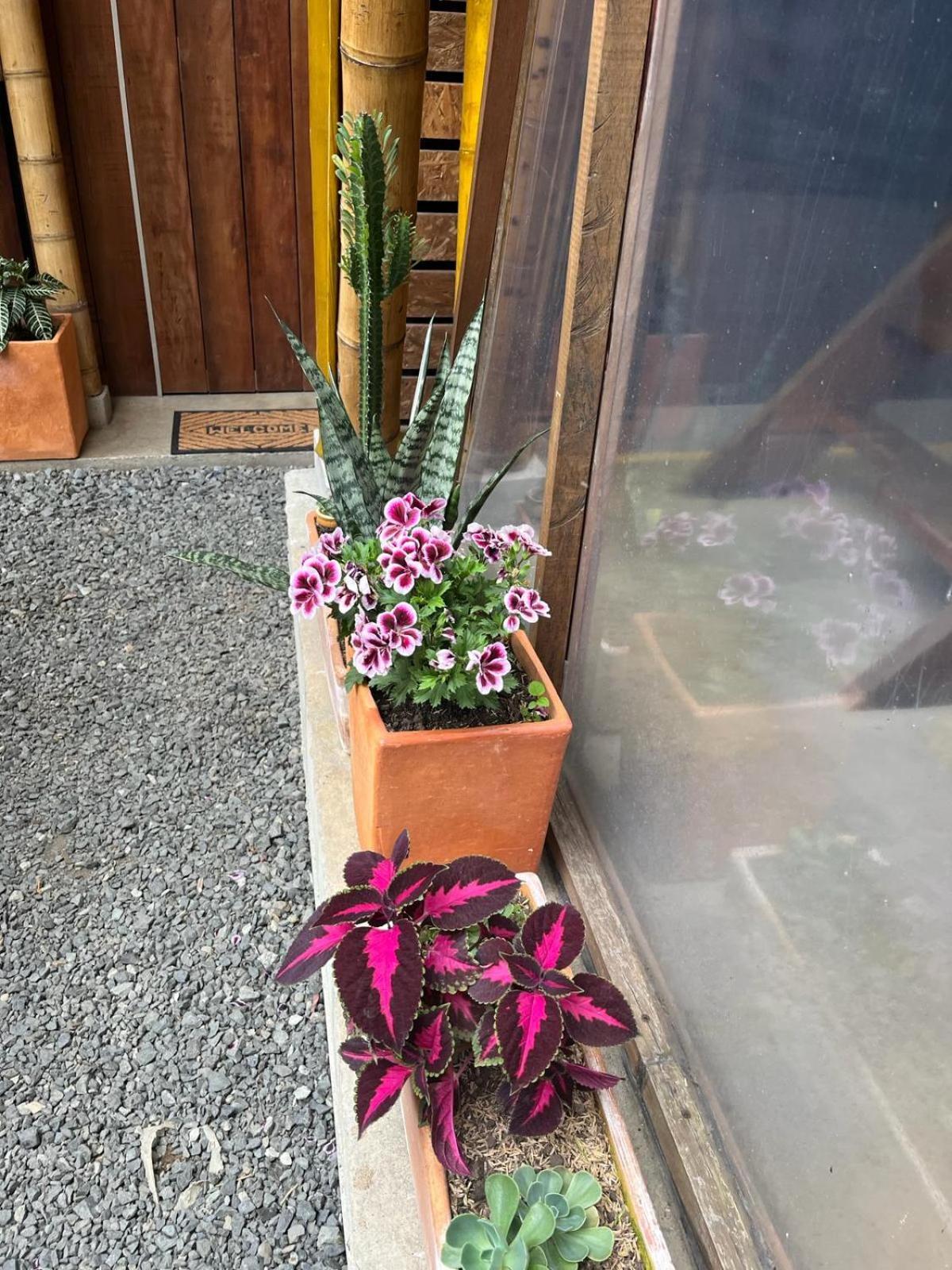 Casa Mochila Albergue